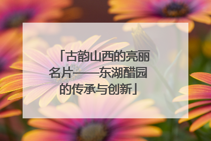 古韵山西的亮丽名片——东湖醋园的传承与创新