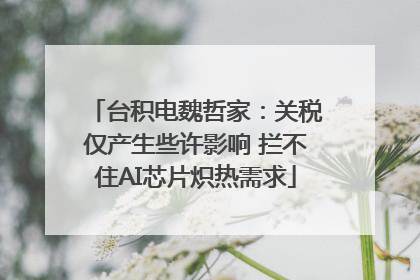 台积电魏哲家：关税仅产生些许影响 拦不住AI芯片炽热需求