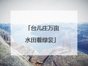 台儿庄万亩水田着绿裳