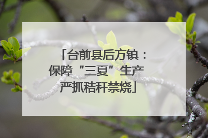 台前县后方镇：保障“三夏”生产 严抓秸秆禁烧