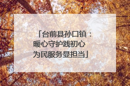 台前县孙口镇：暖心守护践初心 为民服务显担当