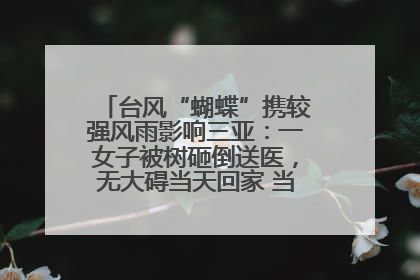 台风“蝴蝶”携较强风雨影响三亚：一女子被树砸倒送医，无大碍当天回家 当地已紧急清障