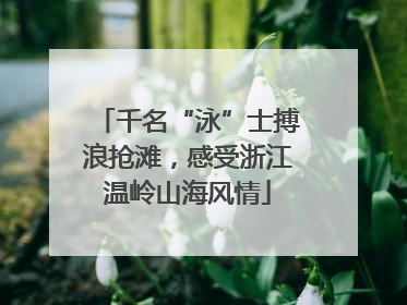 千名“泳”士搏浪抢滩，感受浙江温岭山海风情
