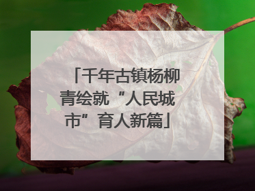 千年古镇杨柳青绘就“人民城市”育人新篇