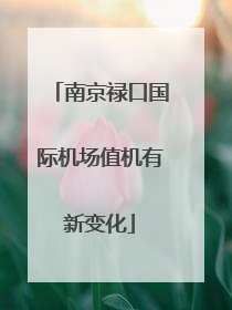 南京禄口国际机场值机有新变化