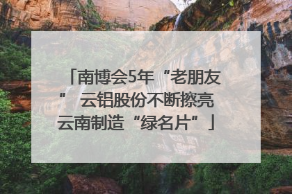 南博会5年“老朋友” 云铝股份不断擦亮云南制造“绿名片”