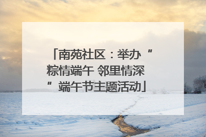 南苑社区：举办“粽情端午 邻里情深”端午节主题活动