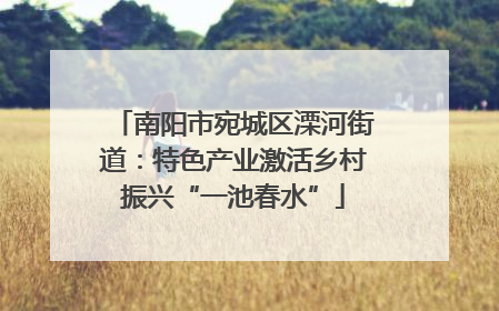 南阳市宛城区溧河街道：特色产业激活乡村振兴“一池春水”