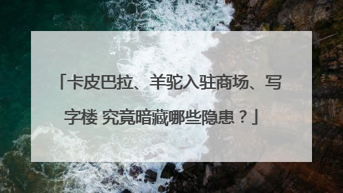 卡皮巴拉、羊驼入驻商场、写字楼 究竟暗藏哪些隐患？