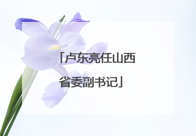 卢东亮任山西省委副书记