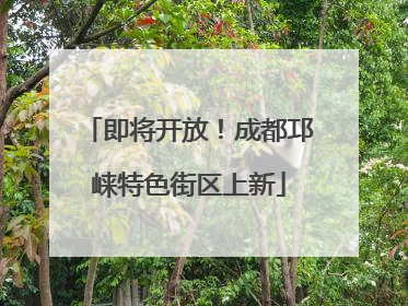 即将开放！成都邛崃特色街区上新