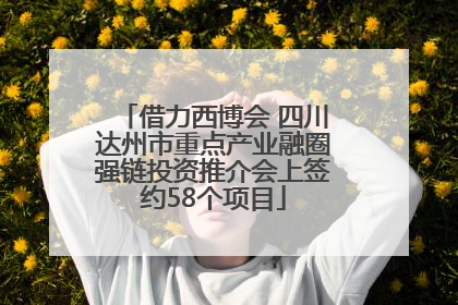 借力西博会 四川达州市重点产业融圈强链投资推介会上签约58个项目