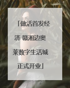 做活首发经济 赣湘边奥莱数字生活城正式开业