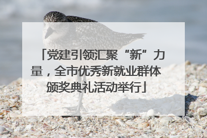 党建引领汇聚“新”力量，全市优秀新就业群体颁奖典礼活动举行