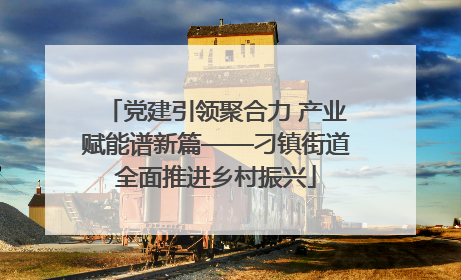 党建引领聚合力 产业赋能谱新篇——刁镇街道全面推进乡村振兴