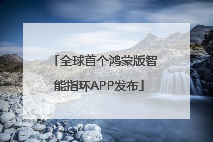 全球首个鸿蒙版智能指环APP发布