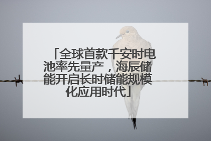 全球首款千安时电池率先量产，海辰储能开启长时储能规模化应用时代