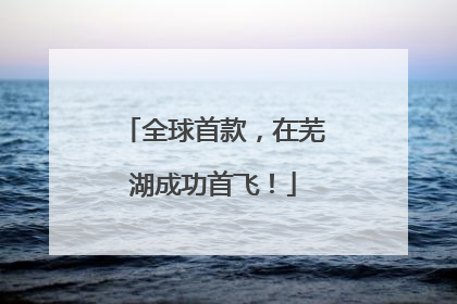 全球首款，在芜湖成功首飞！