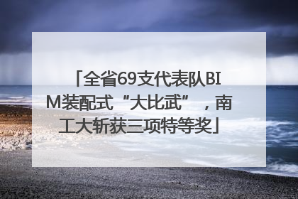 全省69支代表队BIM装配式“大比武”，南工大斩获三项特等奖