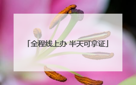 全程线上办 半天可拿证