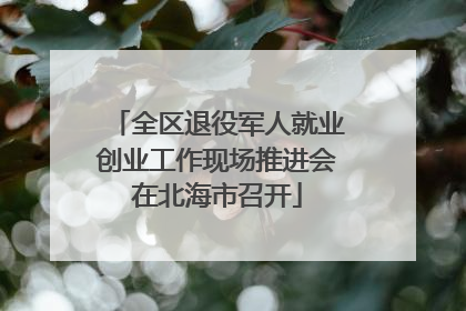 全区退役军人就业创业工作现场推进会在北海市召开