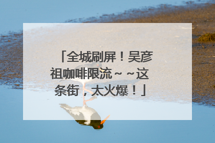 全城刷屏！吴彦祖咖啡限流～～这条街，太火爆！