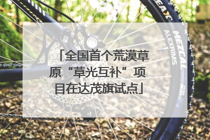 全国首个荒漠草原“草光互补”项目在达茂旗试点