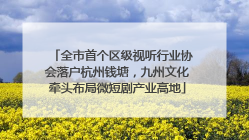 全市首个区级视听行业协会落户杭州钱塘，九州文化牵头布局微短剧产业高地