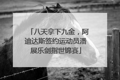 八天拿下九金，阿迪达斯签约运动员潘展乐剑指世锦赛