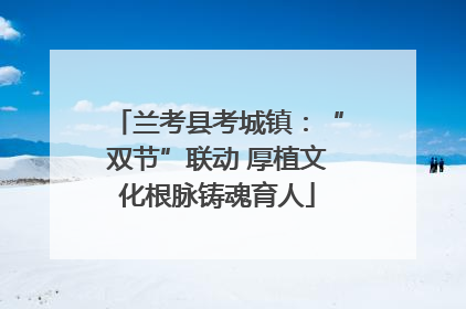 兰考县考城镇：“双节”联动 厚植文化根脉铸魂育人