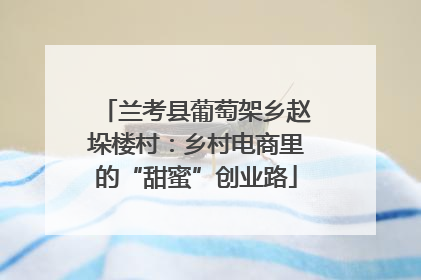 兰考县葡萄架乡赵垛楼村：乡村电商里的“甜蜜”创业路