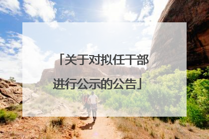 关于对拟任干部进行公示的公告