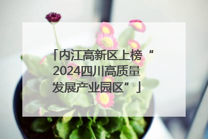 内江高新区上榜“2024四川高质量发展产业园区”