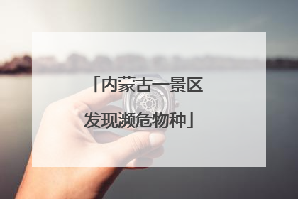 内蒙古一景区发现濒危物种