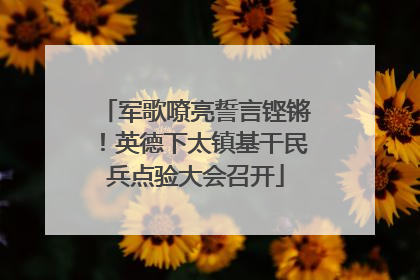 军歌嘹亮誓言铿锵！英德下太镇基干民兵点验大会召开