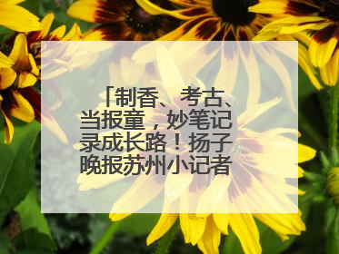 制香、考古、当报童，妙笔记录成长路！扬子晚报苏州小记者特刊焕新登场