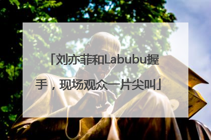 刘亦菲和Labubu握手，现场观众一片尖叫