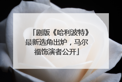 剧版《哈利波特》最新选角出炉，马尔福饰演者公开
