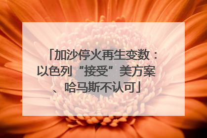 加沙停火再生变数：以色列“接受”美方案、哈马斯不认可