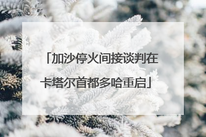 加沙停火间接谈判在卡塔尔首都多哈重启