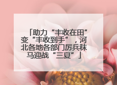 助力“丰收在田”变“丰收到手”，河北各地各部门厉兵秣马迎战“三夏”