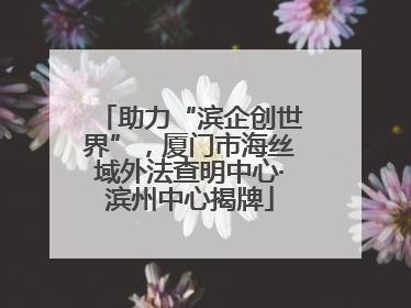 助力“滨企创世界”，厦门市海丝域外法查明中心·滨州中心揭牌