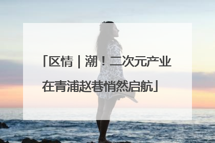 区情｜潮！二次元产业在青浦赵巷悄然启航