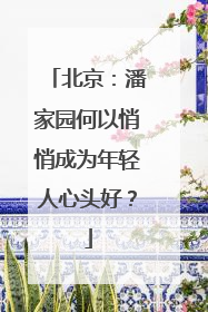 北京：潘家园何以悄悄成为年轻人心头好？