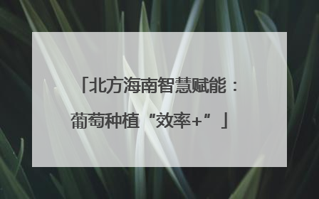 北方海南智慧赋能：葡萄种植“效率+”