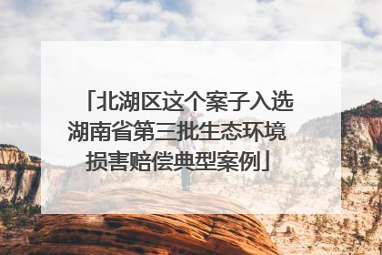 北湖区这个案子入选湖南省第三批生态环境损害赔偿典型案例
