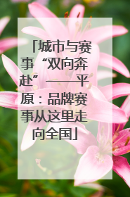城市与赛事“双向奔赴”——平原：品牌赛事从这里走向全国