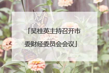 吴桂英主持召开市委财经委员会会议
