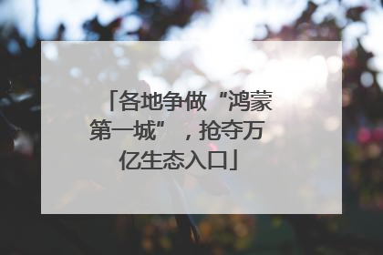 各地争做“鸿蒙第一城”，抢夺万亿生态入口