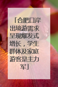 合肥口岸出境游需求呈现爆发式增长，学生群体及家庭游客是主力军